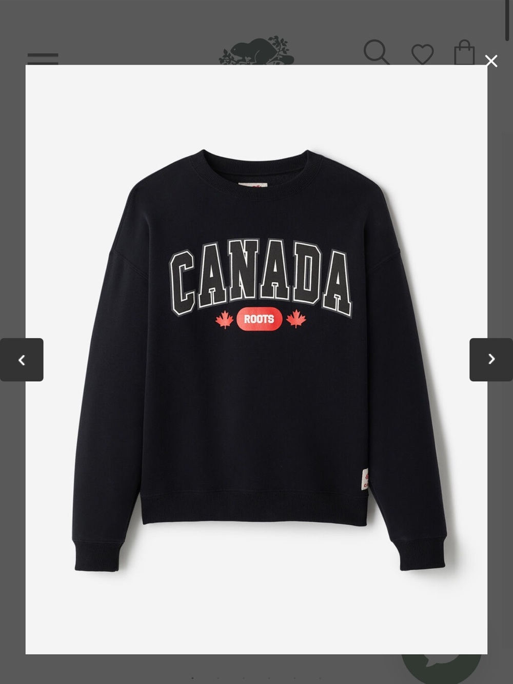 Roots Canada Crewneck Sweatshirt - Black * GENDER FREE